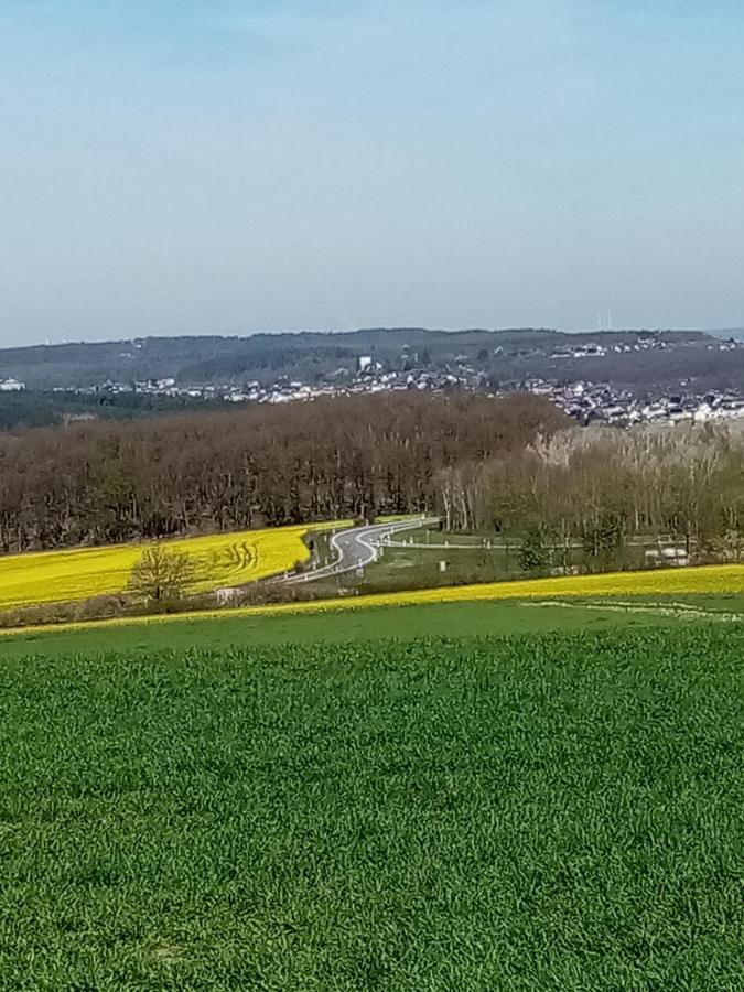 Ferienwohnung Eva Mechernich Exteriör bild